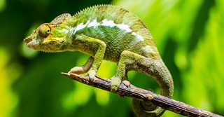 AQ steeds belangrijker bij solliciteren en werk