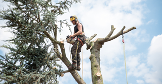 10 jobs voor wie graag in de natuur werkt
