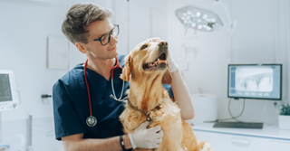 Waarom is dierenarts zo’n knelpuntberoep?