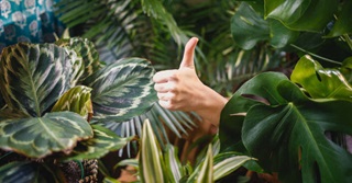 Zo leer je constructief feedback geven én ontvangen