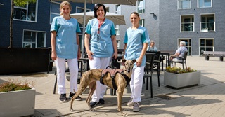 Werken bij Ezeldijk in Diest: ‘Vijf animatoren en een al even enthousiaste hond’