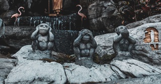 Êtes-vous un génie ? 5 conditions sine qua non