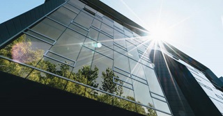 6 conseils pour un bureau plus vert