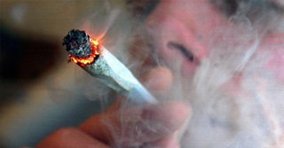 Job atypique : testeur de cannabis