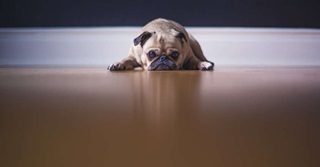 8 manieren hoe je zelf je werkdag kan verpesten