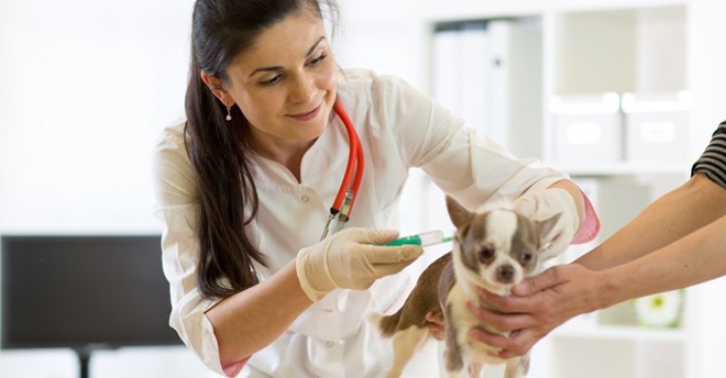 In deze 7 jobs staat empathie centraal