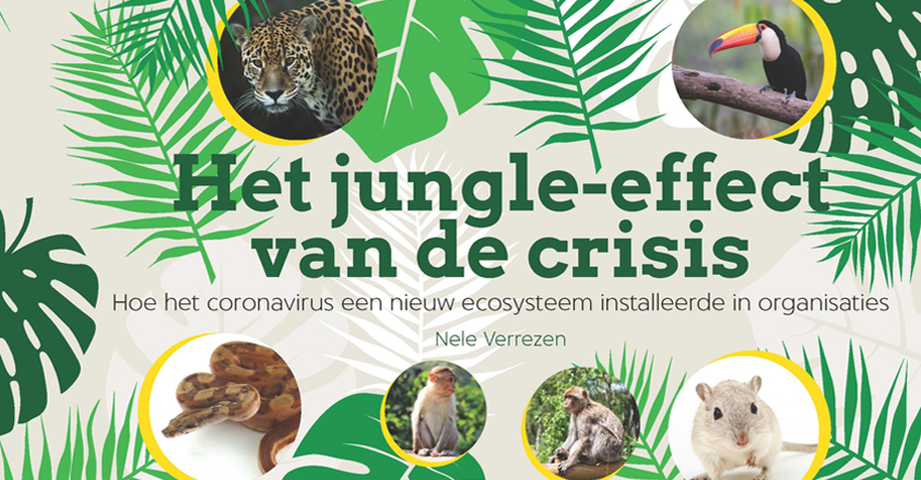 Het jungle-effect van de crisis