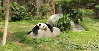 5 tips hoe je vandaag nog kan beginnen niksen