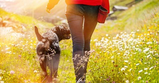 Dé ultieme tip: gebruik de kracht van het ritueel