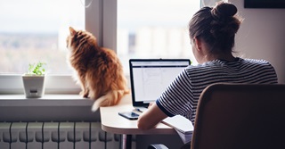 Telewerk op recordhoogte