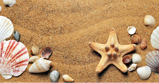 Op hoeveel vakantiedagen heb ik recht?