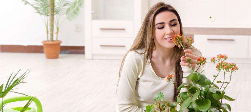Ruik eens aan een bloem