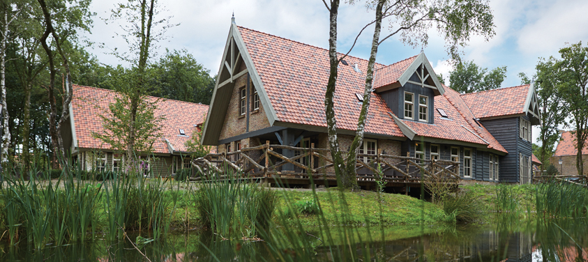 Boshoeves in Efteling Bosrijk